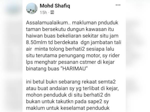 Tangkap layar status dimuat naik Mohd Shafiq di laman sosial Facebook menceritakan insiden dikejar harimau di Taman Bersekutu dekat Kampung Paya Dusun, Dungun, malam Rabu.