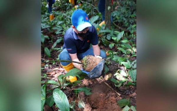 Abd Rani menanam pokok cengal ketika program BaktiRakyat di Institut Penyelidikan Perhutanan Malaysia (FRIM) baru-baru ini.