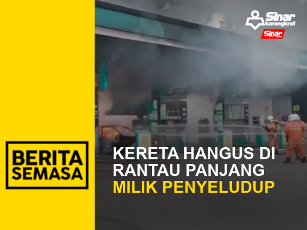 BS KANCIL TERBAKAR PORTAL