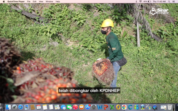 Screen Shot 2022-03-17 at 11.42.47 AM