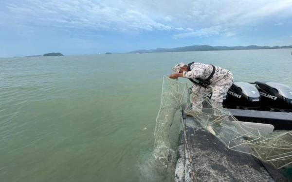 Maritim Malaysia merampas 46 bubu naga di kedudukan kira-kira 0.6 batu nautika dari barat pantai Kurung Tengar, Perlis pada petang Sabtu.