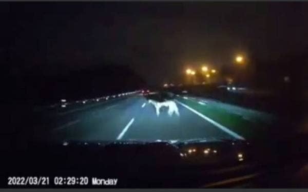 Tangkap layar dari rakaman video tular berhubung kemalangan di Kilometer 249.7 Lebuh Raya Utara- Selatan arah utara, pada Isnin. 