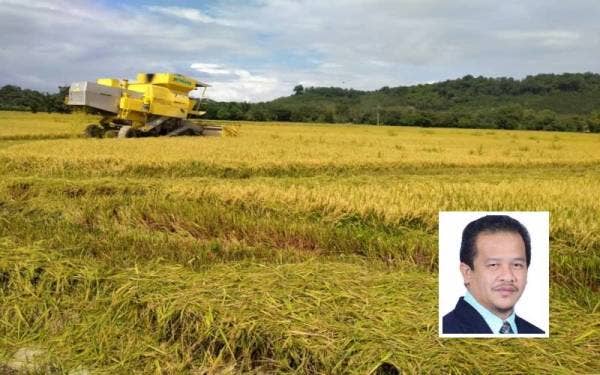  Sebanyak 2,830.73 hektar keluasan tanah sawah di Kedah diubah syarat kepada perumahan dan pembangunan domestik. Gambar kecil:Azman