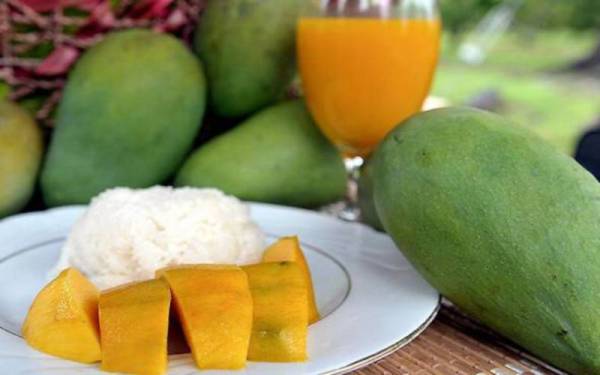 Pengusaha harumanis disaran agar menggunakan input pertanian daripada bahan organik yang dihasilkan sendiri bagi mengurangkan kos produk pertanian itu.(Gambar hiasan) - Foto Bernama