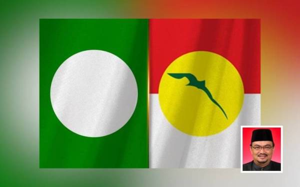 Gambar kecil: Mohamed Fadzli