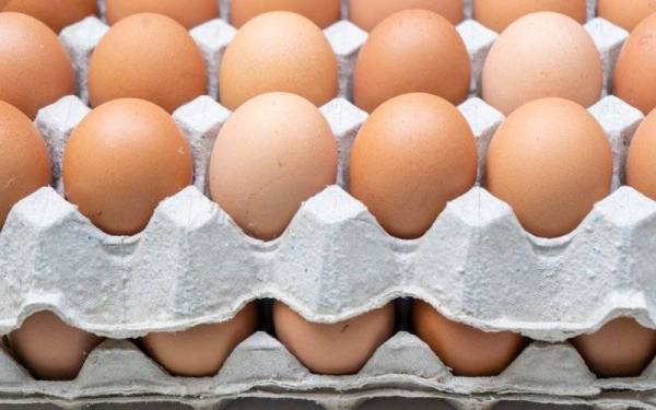 Gambar hiasan - Foto 123rf 