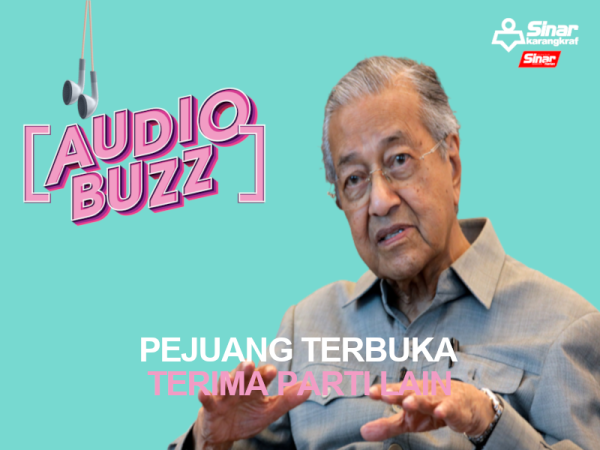 AUDIO BUZZ-TUN M