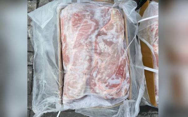 Pihak pengimport gagal mempamerkan logo halal pada kotak dagangan seperti mana yang dinyatakan dalam syarat permit import yang diluluskan.