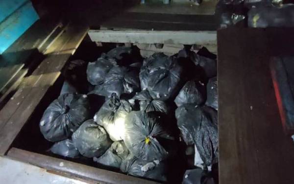 Bungkusan plastik hitam disyaki mengandungi daun ketum ditemui disorokkan di tempat simpanan ikan sebuah bot nelayan kelas A di kedudukan 0.2 batu nautika muara Kuala Sala, Kuala Kedah pada Khamis.