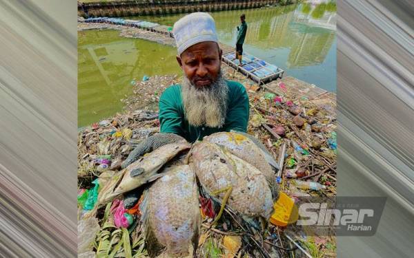 Pekerja pembersihan menunjukkan ikan yang mati ketika membersihkan sampah di Sungai Pinang.