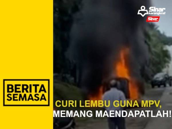 WhatsApp Image 2022-04-12 at 3.13.06 PM