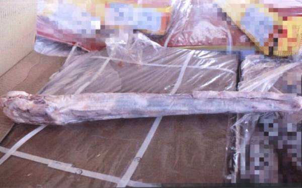 Produk ruminan daging kerbau sejuk beku yang diimport dari India dirampas di Pelabuhan Pangkalan Kontena Utara Butterworth (NBCT), di sini pada Sabtu lalu.
