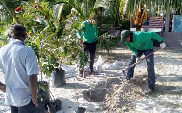 Aktiviti gotong royong dan menanam pokok sentiasa dianjurkan bagi menjaga kebersihan dan kelestarian kawasan pantai.