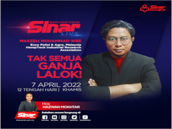 SHORTS 800-isu ganja