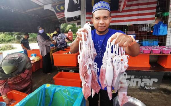 Sauffian menunjukkan sotong bersaiz besar yang dijual antara harga RM25 hingga RM40 sekilogram.