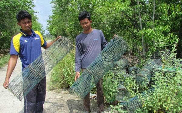 Bubu tidak dapat digunakan akibat pencemaran yang berlaku di Sungai Merbok.