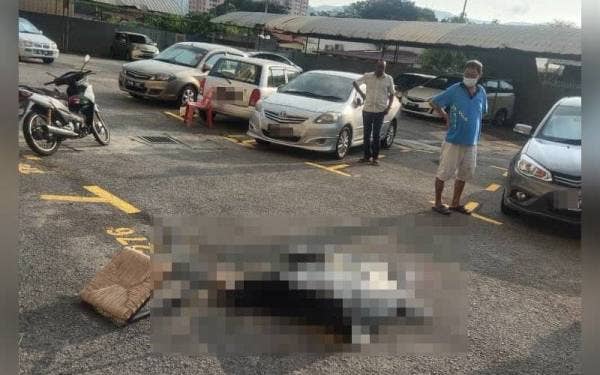 Mangsa mengalami kecederaan di bahagian kepala.