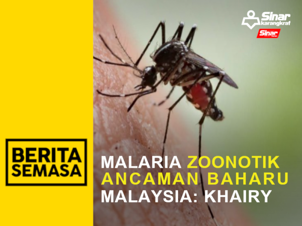 BS PORTAL- MALARIA ZOO