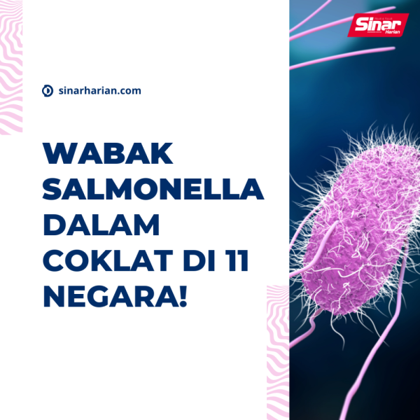 Pertubuhan Kesihatan Sedunia (WHO) maklumkan terdapat lebih 151 kes disyaki bakteria salmonellosis dikaitkan dengan produk coklat Kinder keluaran Belgium.