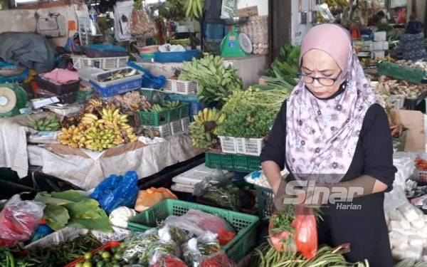 Alina memaklumkan kenaikan harga sayur-sayuran sememangnya tidak dapat dielakkan di Pasar Awam Larkin, Johor Bahru.