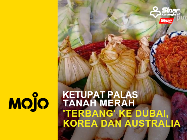 MOJO PORTAL-kEtupat PALAS
