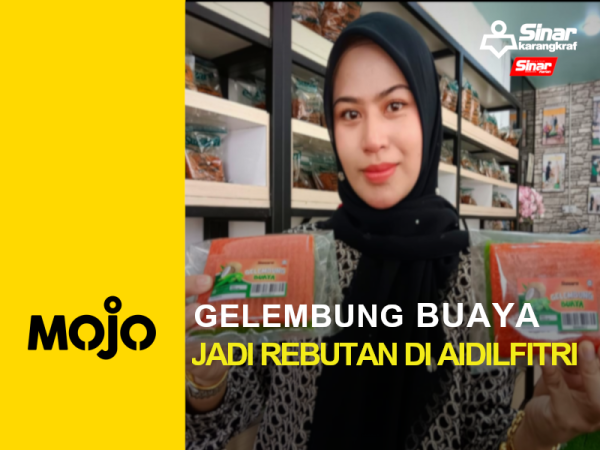 MOJO PORTAL-GELEMBUNG BUAYA