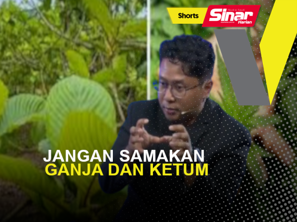 SHORTS - JANGAN SAMAKAN GANJA DAN KETUM