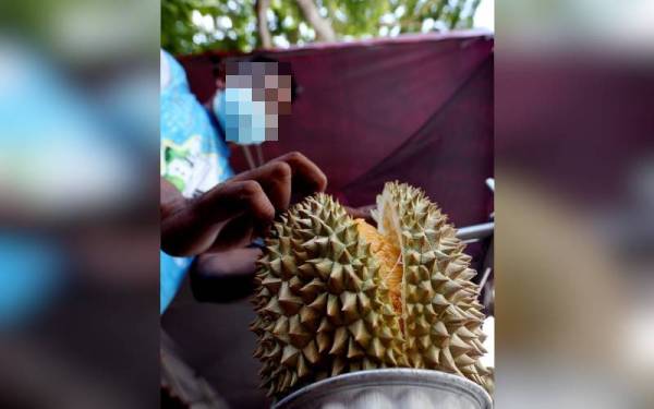 Orang ramai diminta berhati-hati dengan urusan jual beli durian melalui dalam talian yang dipercayai didalangi sindiket penipuan di negeri ini. - Gambar hiasan