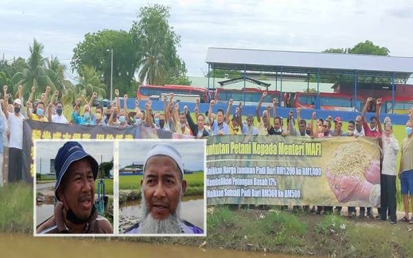 Suee Lim bersama pesawah berhimpun bagi mendesak MAFI menyelesaikan tiga tuntutan pada Rabu. Gambar kecil: Sabli dan Muhammad