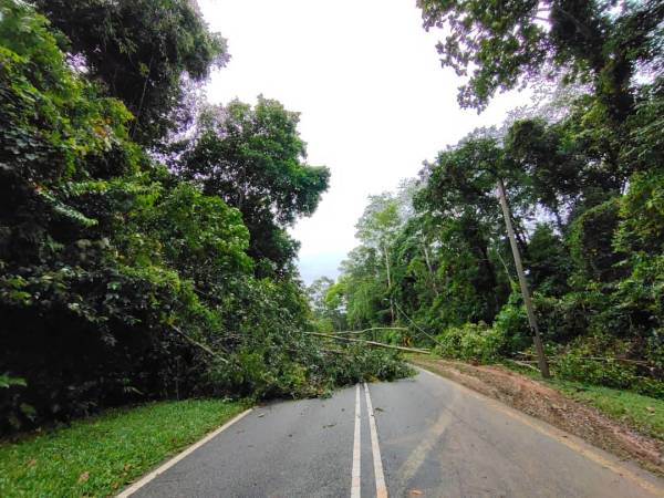 Jalan Kampung Batu - Inas menghala ke Kuala Pilah berhampiran Kampung Kabong di sini, ditutup dikedua-dua arah selepas berlaku tanah runtuh dan pokok tumbang.