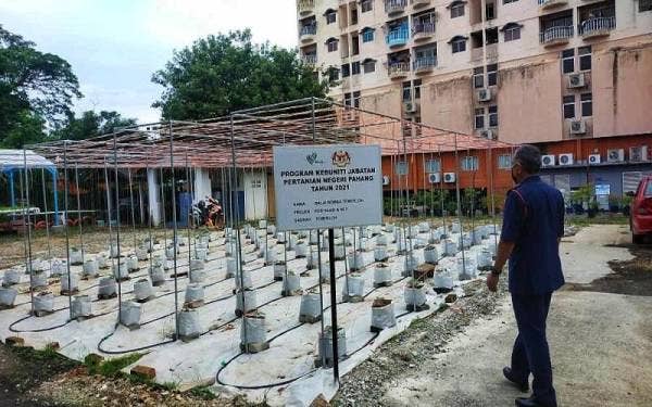 Laman BBP Temerloh dimanfaatkan sepenuhnya menerusi program Pertanian Bandar Kategori Kebuniti