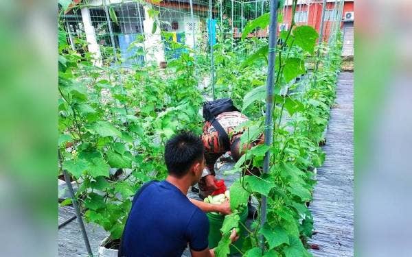 Anggota yang terlibat dalam kebuniti bekerjasama menjayakan program berkenaan sejak November tahun lalu.