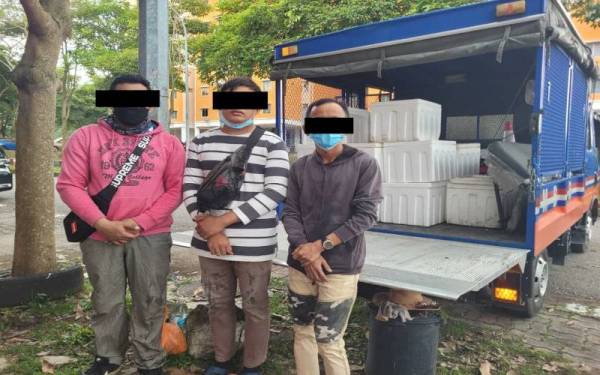 Tiga lelaki warga Indonesia ditahan polis kerana menjual jeruk dan buah-buahan di persimpangan lampu isyarat laluan utama sekitar Johor Bahru.