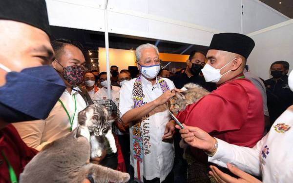 Perdana Menteri Datuk Seri Ismail Sabri Yaakob (tengah) membelai kucing yang dipamerkan ketika melawat ruang pameran selepas merasmikan Jelajah Aspirasi Keluarga Malaysia di Sabah International Convention Centre (SICC) hari ini. 