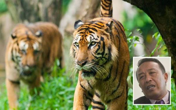 Foto hiasan 123RF. Gambar kecil: Abdul Kadir