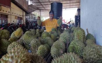 Roslan menunjukkan bekalan buah durian yang diperoleh dari Thailand sebelum dihantar untuk dijual di daerah-daerah yang telah ditetapkan.