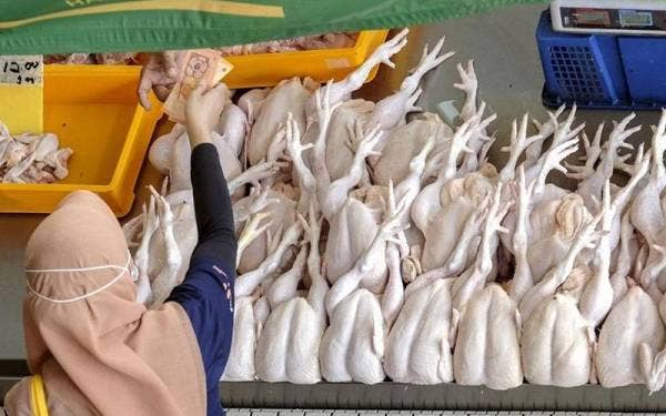 Sejumlah 121 kompaun bernilai RM101,300 dikeluarkan KPDNHEP Johor terhadap peruncit dan pemborong di negeri ini sejak awal Februari hingga kini. Gambar hiasan.