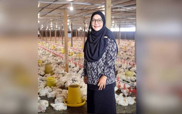 Mazlina ketika meninjau operasi ladang Ayam Bismi berkapasiti 300,000 ekor di Kuala Nerang.