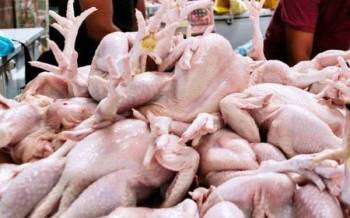 Exco dan Jabatan Veterinar negeri diminta untuk memantau dan melihat perkembangan terkini isu bekalan ayam agar tidak menyusahkan rakyat.