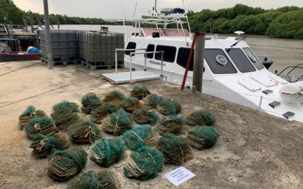 Bubu naga yang dirampas Agensi Penguatkuasaan Maritim Malaysia berikutan penggunaan alatan tersebut sudah diharamkan di negara ini.