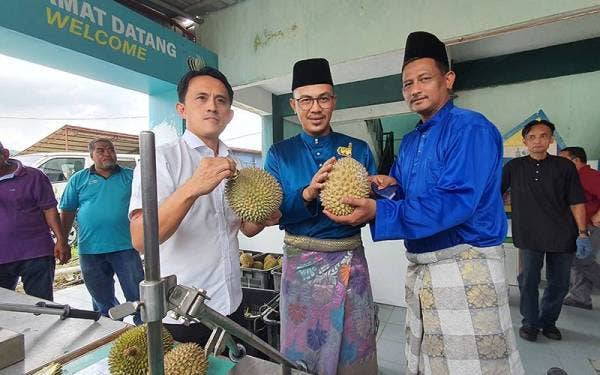 Muhaimin (tengah) menunjukkan durian yang disediakan sempena majlis hari bertemu pelanggan Jabatan Pertanian negeri pada Rabu.