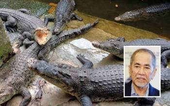 Wan Junaidi mencadangkan masyarakat tempatan diberi peluang menceburkan diri dalam industri kulit dan daging buaya sebagai satu cara mengawal populasi reptilia berkenaan di Sarawak.