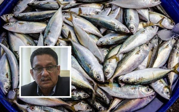 Bekalan ikan bagi keperluan dalam negara masih mencukupi. Gambar kecil: Mohd Sufian