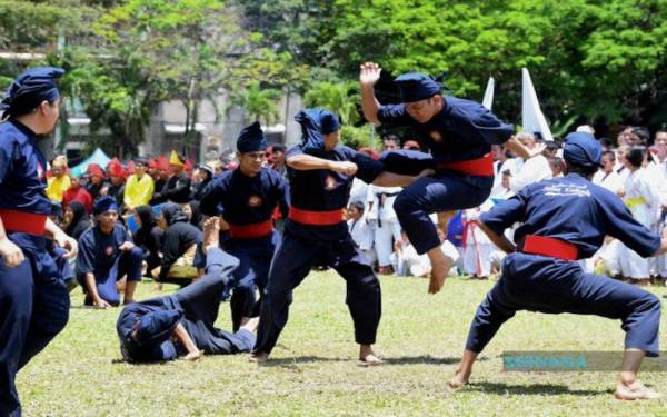 Program silat perlu diteruskan kerana ia simbolik kepada penyatuan ummah dan perpaduan masyarakat. - Foto Bernama