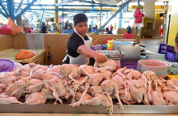 Masalah kekurangan bekalan ayam yang sebelum ini dilaporkan di beberapa lokaliti kini beransur pulih. - Foto Bernama