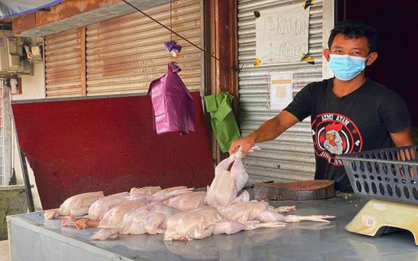 Ridhuan menunjukkan ayam segar jualannya di Tumpat, Kelantan yang masih berbaki walaupun sudah jam 2 petang ketika itu.