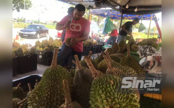 Kamarul di gerai milikya di Jalan Gambang- Batu Tiga yang mendapat permintaan tinggi daripada penggemar raja buah itu.