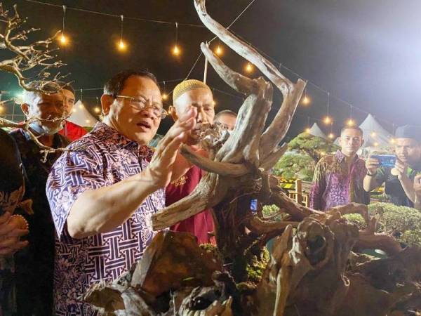 Ahmad (kiri) kagum melihat pokok bonsai yang dipamerkan semasa Pesta Orkid, Flora dan Herba 2022 yang berlangsung di RTC Tunjung.