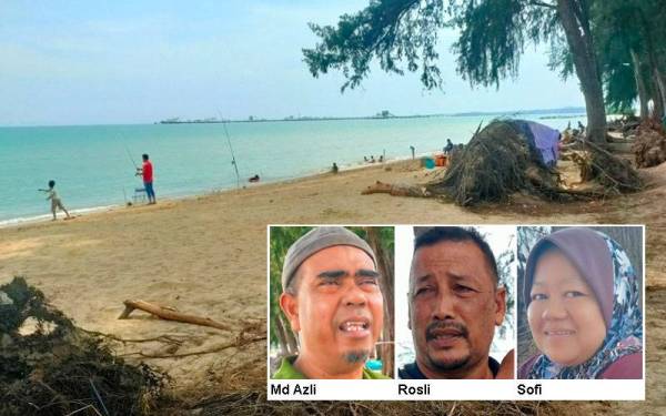 Keadaan pokok rhu yang tumbang di Pantai Pueteri mencacatkan pemandangan dan membahayakan pengunjung.