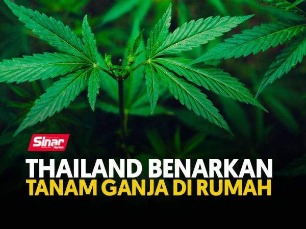 cover-ganja-np